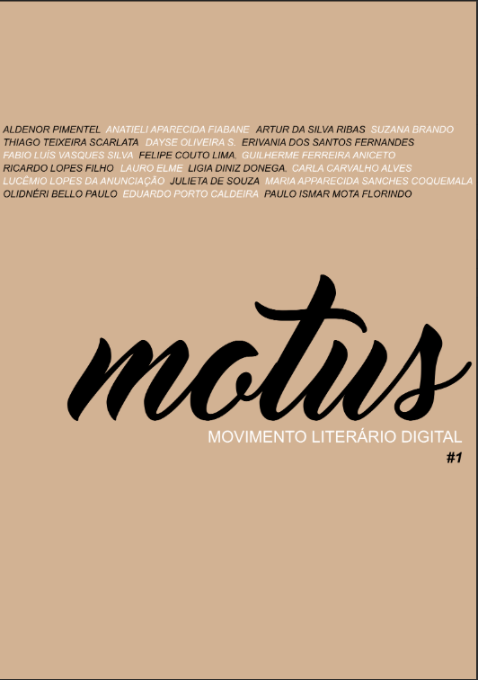 Capa edição anterior 12